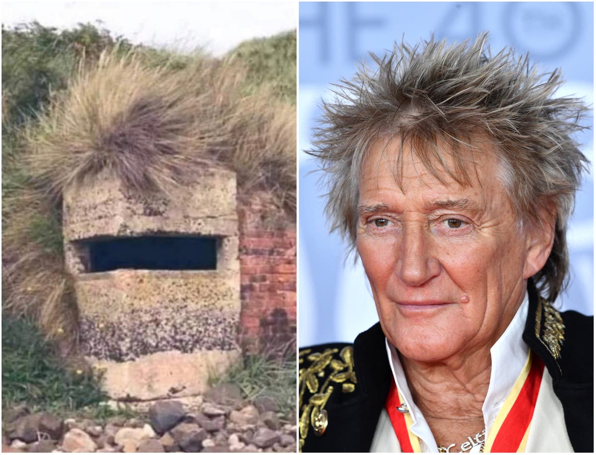 Rod Stewart responds to lookalike pillbox meme: ‘F*** sake’ - Qudach